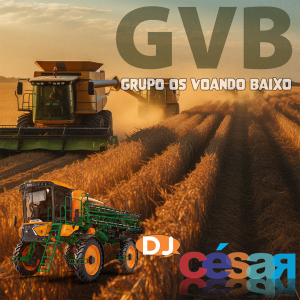 GVB - Grupo Voando Baixos