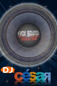 Alto Falantes Vox Sound