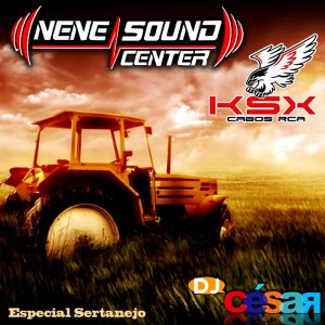 Nene Sound Center e KSX Cabos RCA