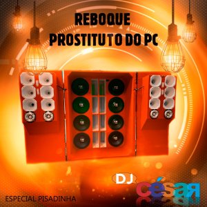 Reboque Prostituto do PC - Volume 02