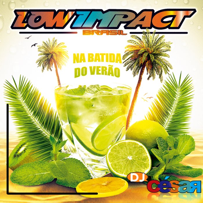 Low Impact Brasil - Na Batida do Verão